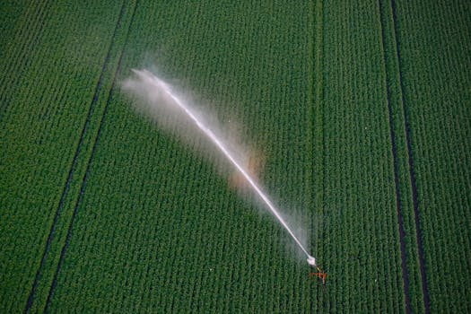 Beyond the Sprinkler Head: Actionable Insights from Irrigation Technology News