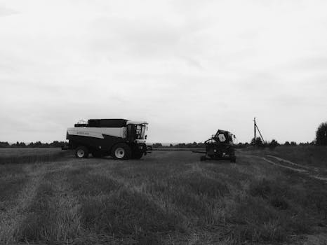 Deciphering the Agritech Lexicon: Your Guide to Modern Farm Technology Crossword Clues