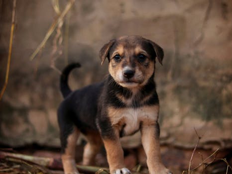 The Art of Naming Your Lifestyle Empire: More Than Just a Pretty Title