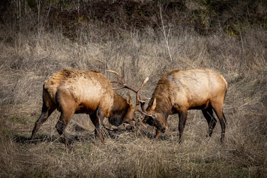 Elk Grove Technology Park: Cultivating Innovation in a Strategic Nexus
