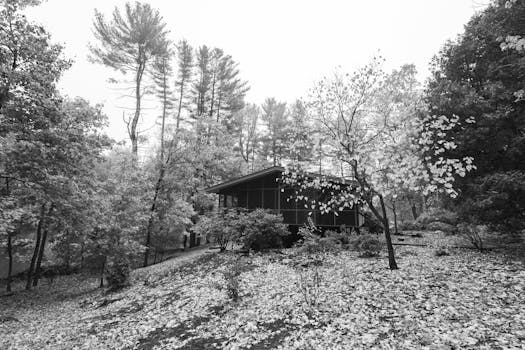 Decoding the Significance of 77 Massachusetts Ave, Cambridge, MA 02139